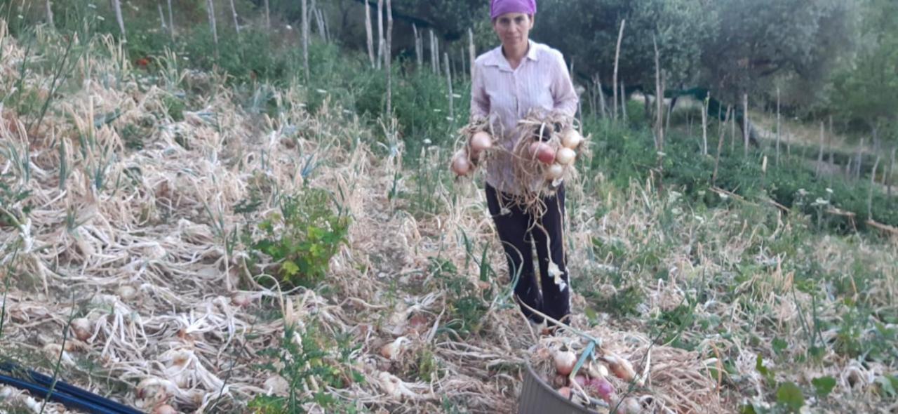 Agriturismo Gli Antichi Sapori - Con Stazione Di Ricarica Veicoli Elettrici Vatolla Buitenkant foto