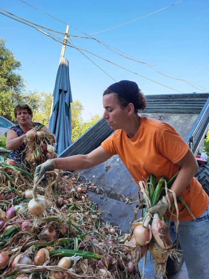 Agriturismo Gli Antichi Sapori - Con Stazione Di Ricarica Veicoli Elettrici Vatolla Buitenkant foto